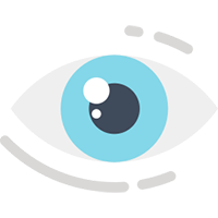 photoreceptor in retina photoreceptor in retina